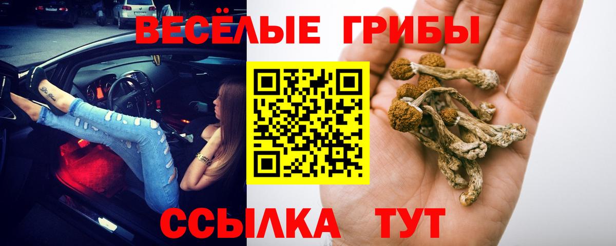 Псилоцибиновые грибы Psilocybine cubensis  Вход с VPN  Свободный 