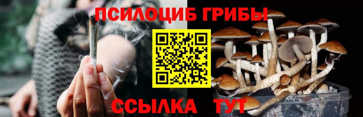 Псилоцибиновые грибы ЛСД Свободный